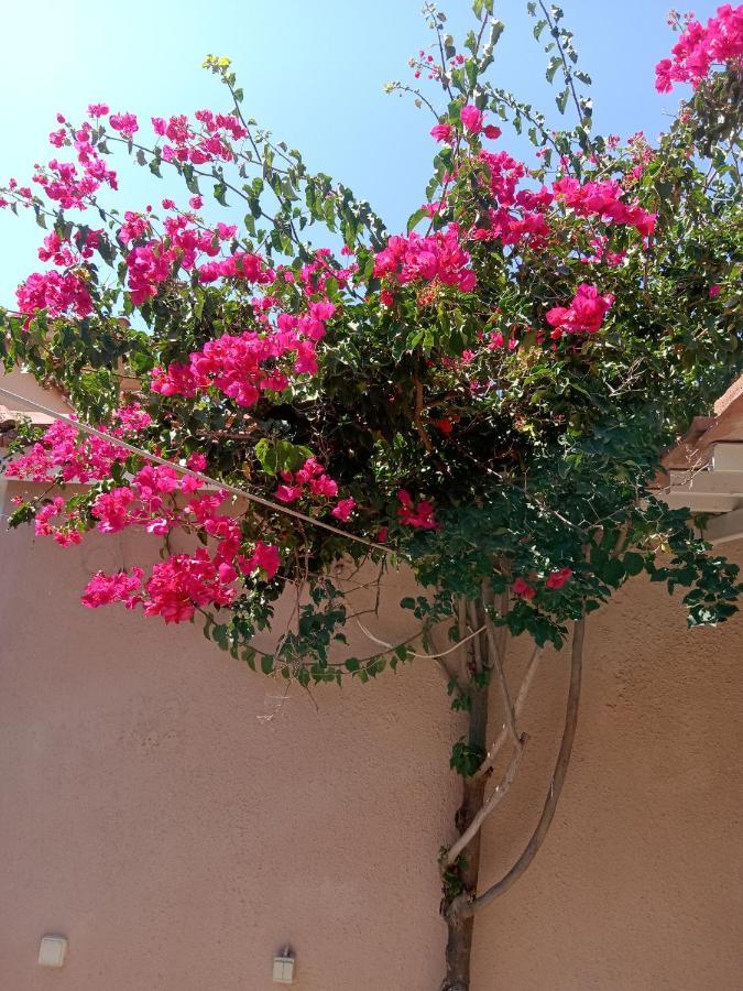 Menegis Apartment Zakynthos Town Luaran gambar